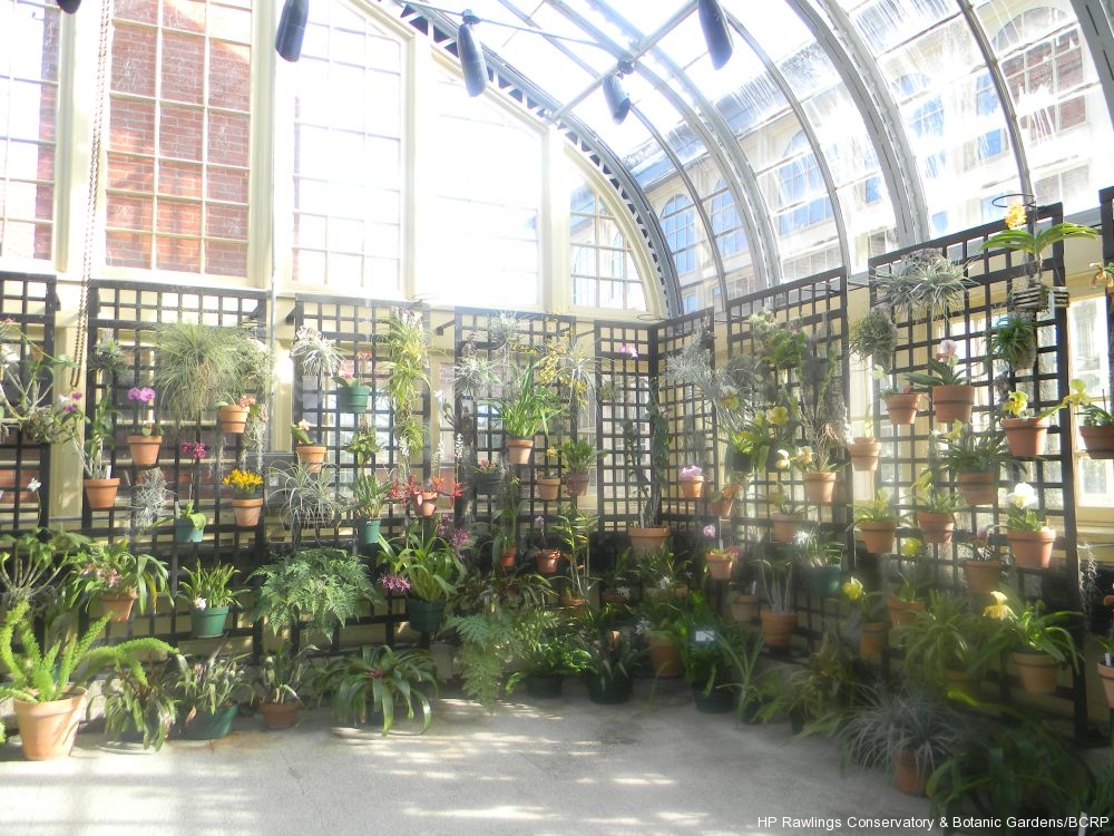 Explore The Conservatory